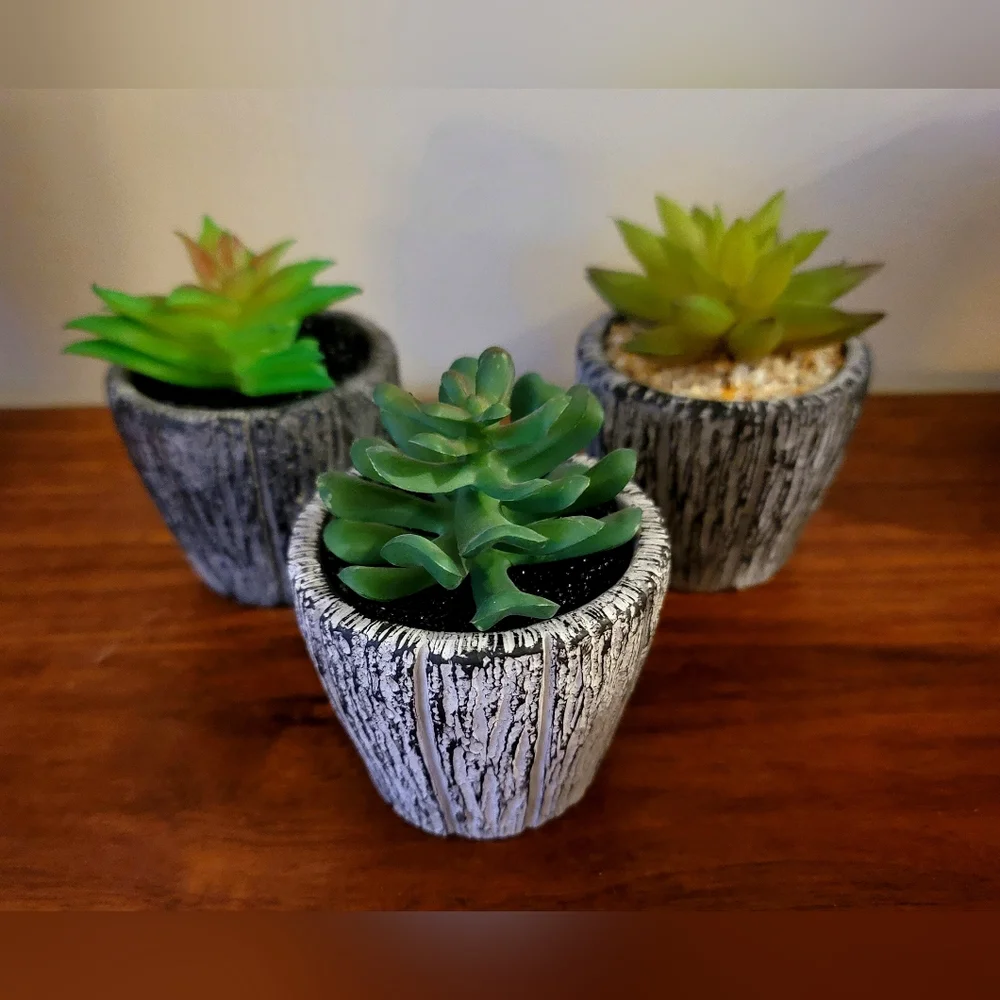 Set of 3 Faux Succulents in Heavy Textured Planters